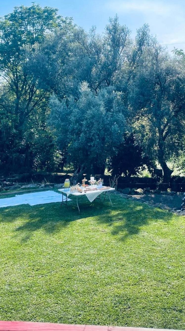 Casa Nova Das Oliveiras Брага Екстериор снимка